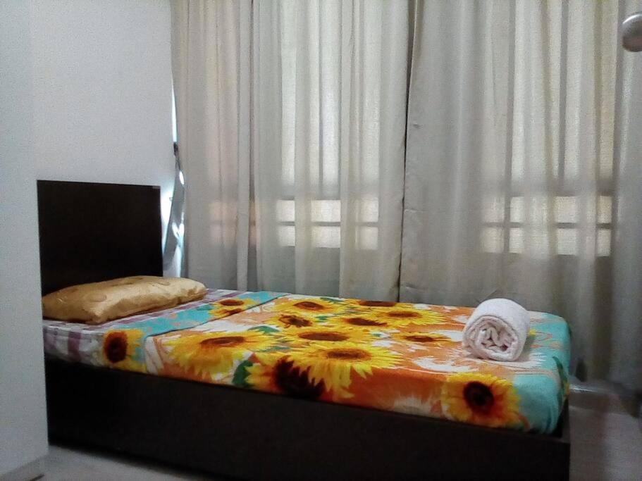 Apartment Cozy 2 *